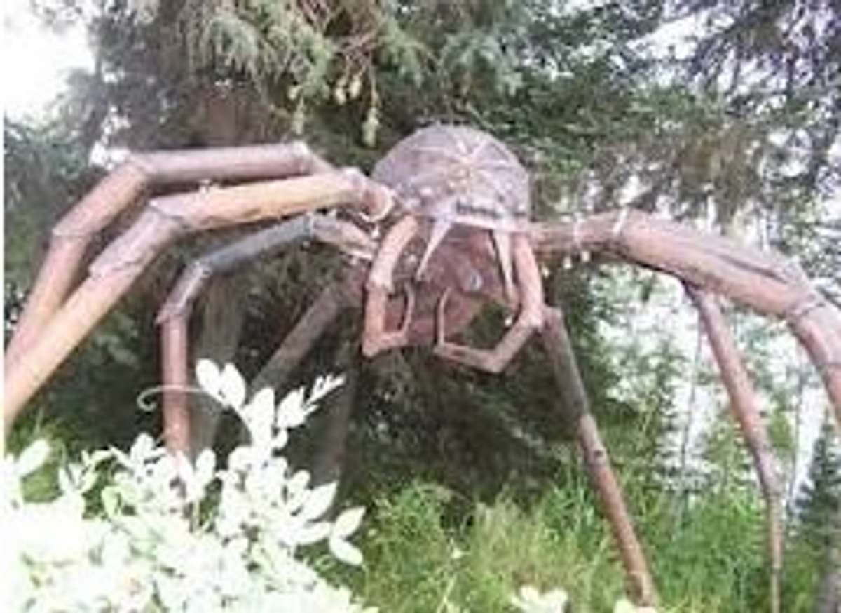 Çünkü 'J'ba Fofi' olarak bilinen örümcek türü tam tamına 1 m...