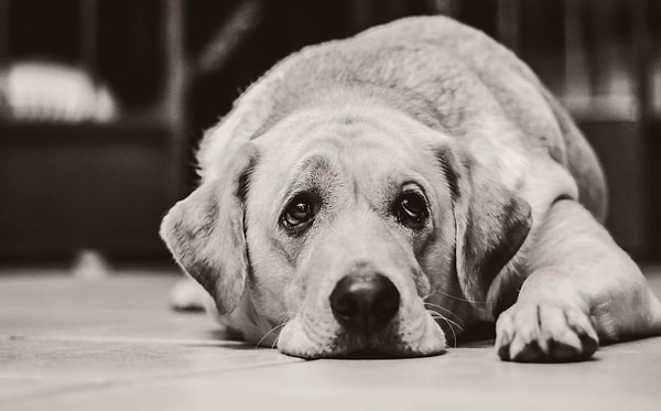 Как-то не сложилось у вас с загадками...