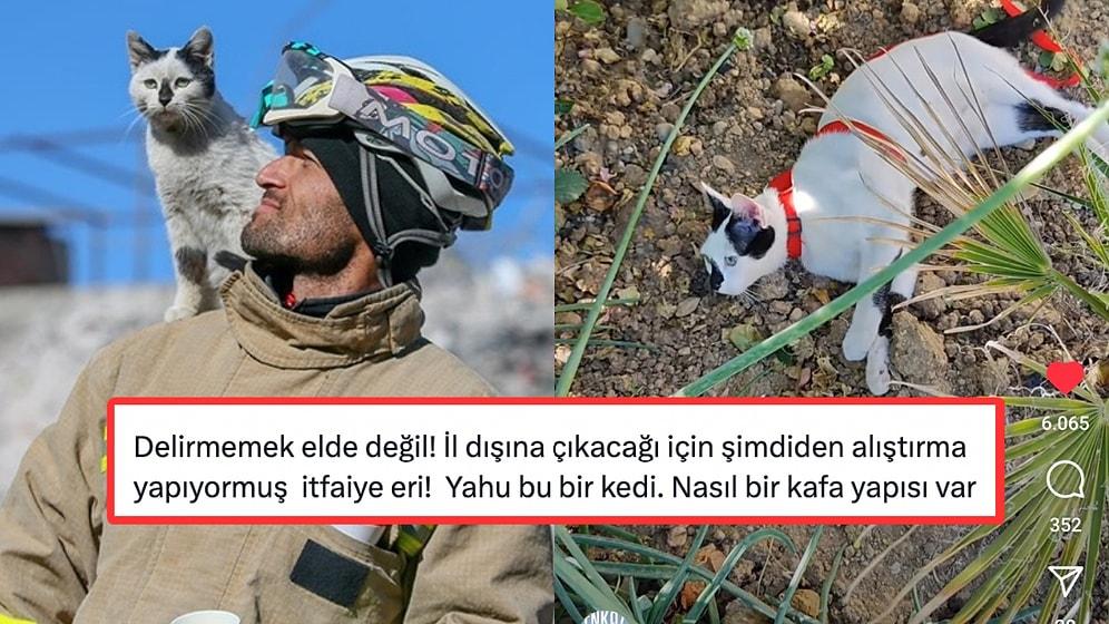 Enkazdan Kurtardığı Kediyi Ağaca Bağlayan İtfaiye Eri Ali Çakas Tartışma Yarattı!