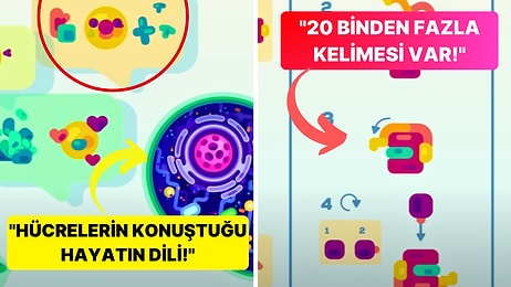 Hücreler Birbirleri ile Nasıl İletişim Kurar? Dünyanın En Karmaşık Dili Olan Hayatın Dili!