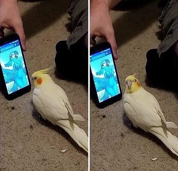 9. Поймали на горяченьком