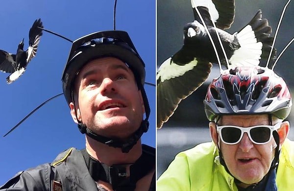 9. Велосипедные шлемы с защитой от налета птиц