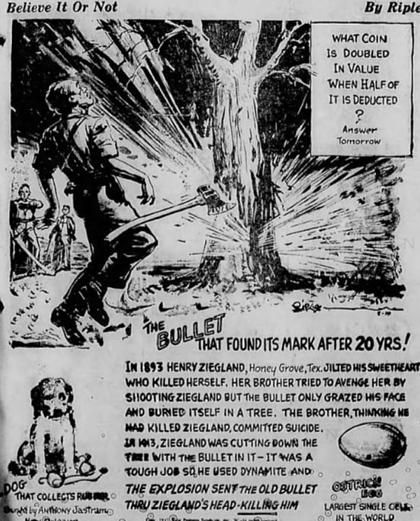 Неудивительно, что история попала в местные новости, и ее напечатали в газете