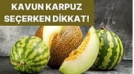 Kavun ve Karpuz Nasıl Seçilir? Nelere Dikkat Etmeliyiz?