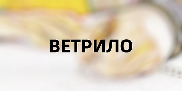 5. А что означает это устаревшее слово?