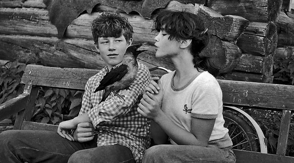 7. Друзья, 1982 год, Архангельская обл., Плесецкий р-н, пос. Североонежск