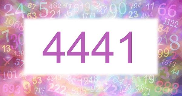 Ayrıca, mevcut durumunuza veya ruh halinize bağlı olarak 4441 sayısını yorumlayabileceğiniz çeşitli yolları tartışacağız.