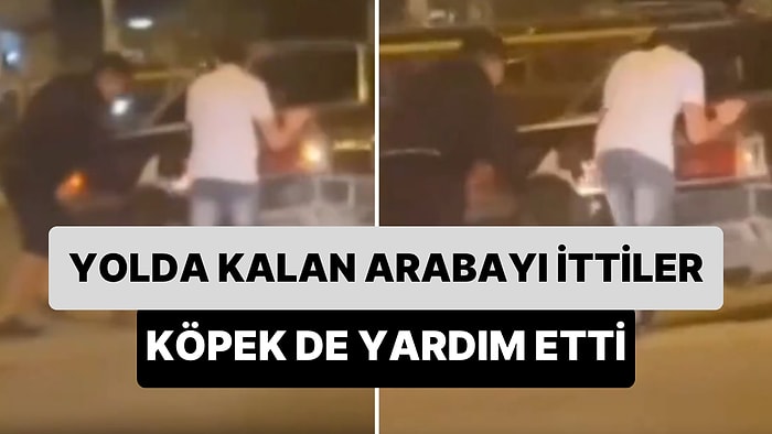 Yolda Kalan Arabayı İten İnsanlara Pati Desteği ile Yardım Eden Köpek