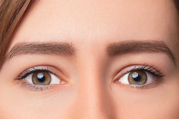 Gözün içindeki ve çevresindeki kaslar ve bağlar, gözün konumunu korumada kritik bir rol oynar.