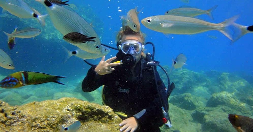 Dive into Splendor: Exploring the Best Diving Destinations in Turkey