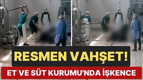 Et ve Süt Kurumu'nda Huysuzlanan Hayvanın Başına Defalarca Sopayla Vurdu