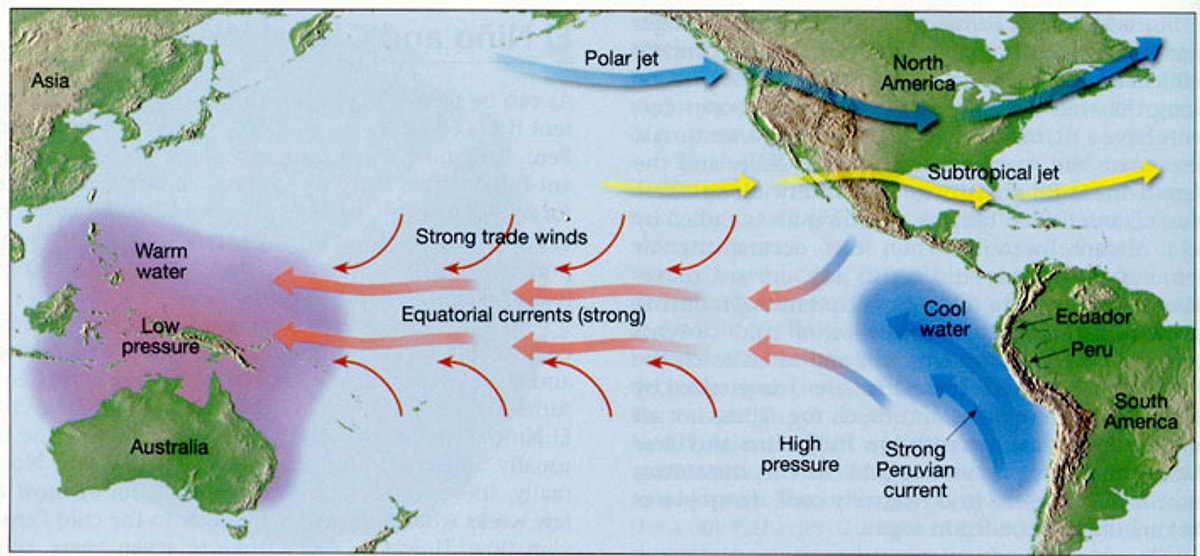 Эль ниньо картинки