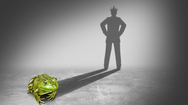 10. Выберите принца: