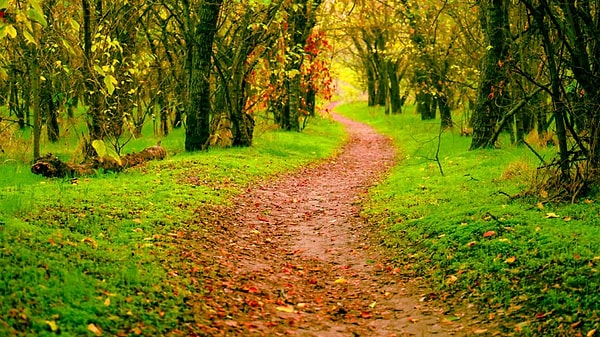 4. Выберите одну из фотографий: