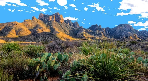 20. Пустыня Чиуауа расположена в...