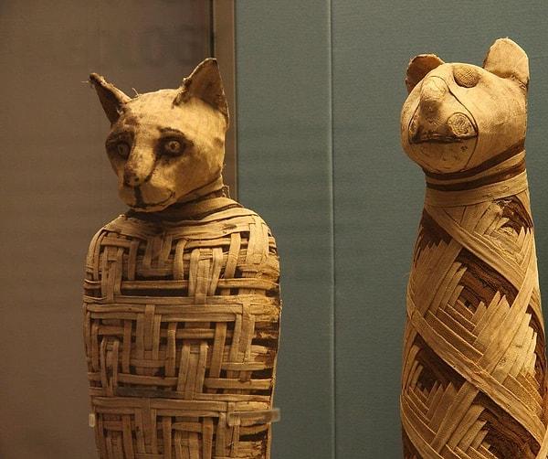 Roma mitolojisine bakıldığında kedilerin tanrı ve tanrıçaların hemen yanında tasvir edildiğini görebiliriz.
