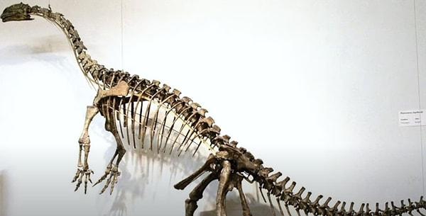 5. Sondaj çalışmaları sırasında bulunan Norveç'in tek dinozor fosili.