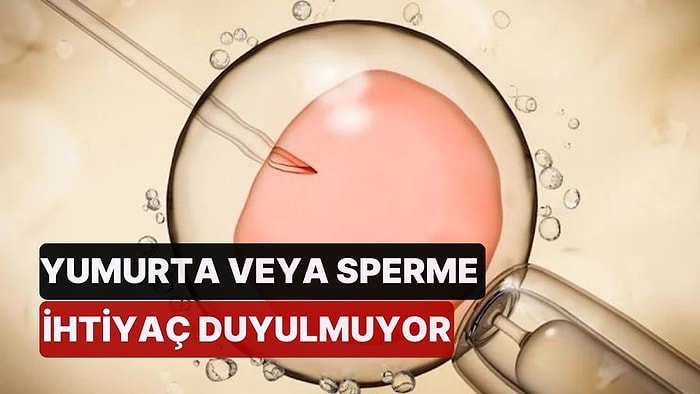 Yumurta veya Sperme İhtiyaç Duyulmuyor! Kök Hücreden Sentetik İnsan Embriyosu Üretildi