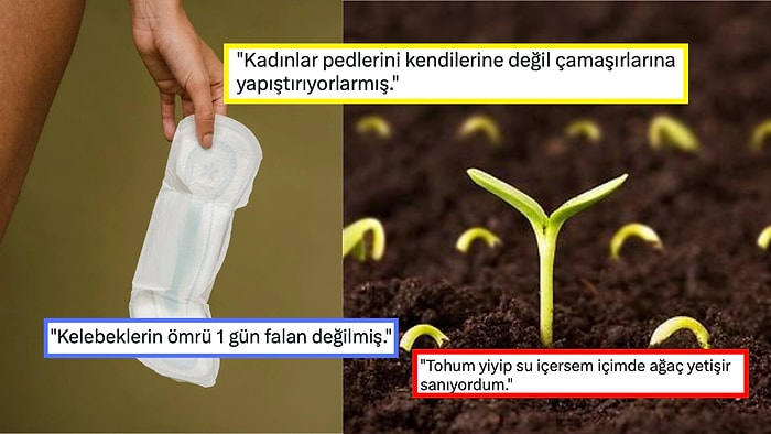 Öğrendiğinizde Hayatınızı Sorgulayıp 'Bu Kadar da Olmaz' Diyeceğiniz Birbirinden Absürt 15 İtiraf