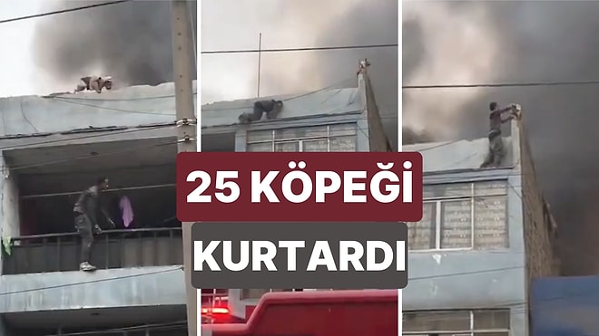 Peru'da Yükseklik Korkusu Olan Evsiz Bir Adam Yanan Binaya Tırmanarak 25 Köpeği Kurtardı