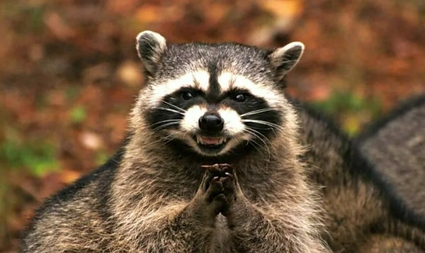 8. Умеете ли вы убеждать людей оказывать вам услуги?