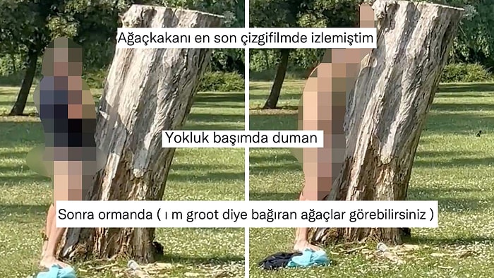 Hangi Akla Hizmet Ağaçla Cinsel İlişkiye Girmeye Çalıştığı Anlaşılamayan Adam Gündem Oldu!