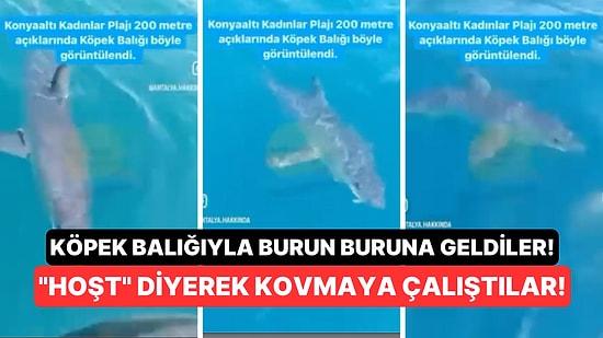 Antalya'da Konyaaltı Kadınlar Plajı Açıklarında Dolaşırken Köpek Balığı Terörüne Uğradılar!