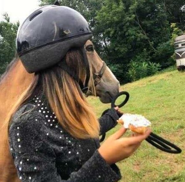 15. Просто присмотритесь повнимательнее...