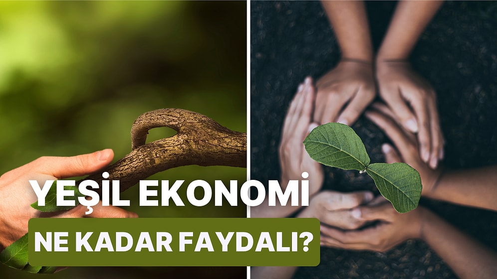 Norveç, İsveç, Hollanda Gibi Ülkelerin Uyguladığı Yeşil Ekonomi Modeli Hakkında 13 Bilgi