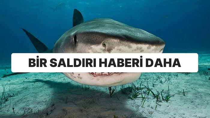Bir Köpekbalığı Saldırısı Daha: Netflix Ekibi Zor Kurtuldu