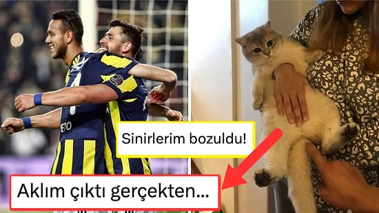 İlk Bakışta Anlam Veremeyerek Durup Dururken Beyninizin Ayarlarıyla Oynayacak Birbirinden İlginç 15 Görsel