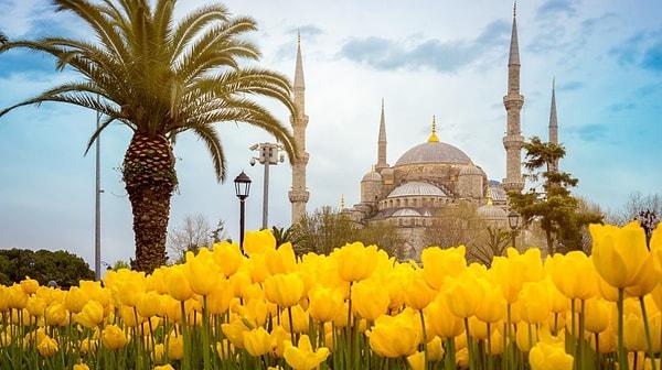 Springtime Splendor: Discover Turkey's Blossoming Beauty