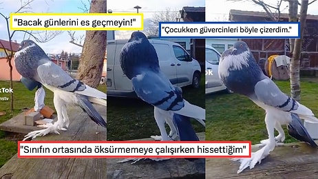 Yapay Zeka Değil Gerçek: Görenleri Şaşkına Çeviren "Mutant Güvercin" Viral Oldu!