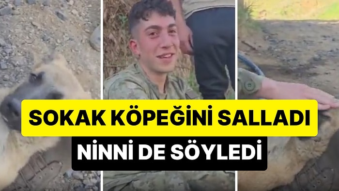 Sokak Köpeğini Ayaklarında Sallayıp Ninni Söyleyerek Uyutan Asker