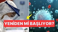 Yarasalarda İki Yeni Koronavirüs Keşfedildi: Korkulu Rüyamız Pandemi Geri mi Geliyor?