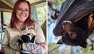 Эта девушка-ветеринар спасает диких летучих мышей и ухаживает за ними