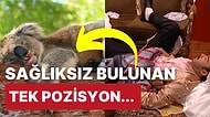 Uyurken Size En Uygun Pozisyonunun Hangisi Olduğunu Bilmek İster misiniz?