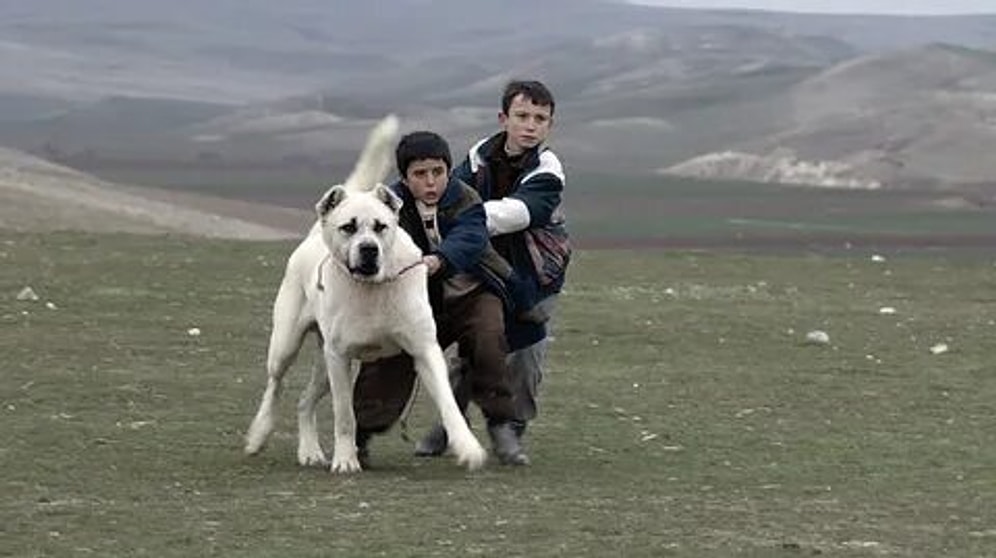 Sivas: A Heartfelt Tale of Innocence, Friendship, and Redemption