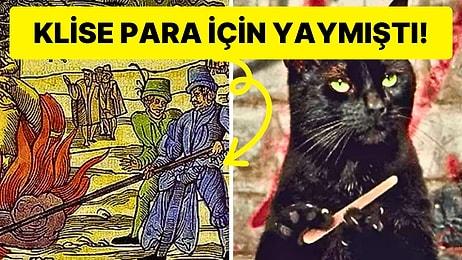 Kara Kedilerin Neden Kötü Şans Getirdiğine İnanırız?
