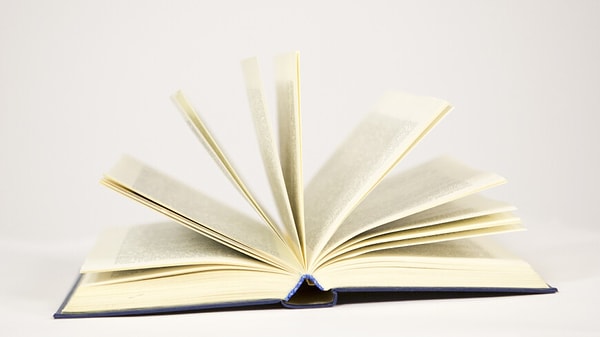 3. Какое из перечисленных слов написано верно?