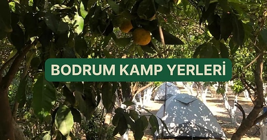 Mandalina Kokularıyla Ciğerlerinizin Mest Olacağı Bodrum’da Kamp Yapılacak Yerler