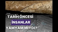 Tarih Öncesi Kaval Kemiğindeki Kesiklerin İnsan Yamyamlığının En Eski Kanıtı Olabilir mi?
