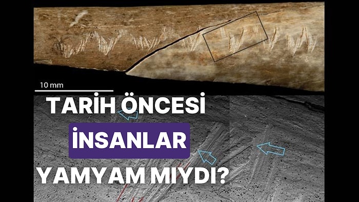 Tarih Öncesi Kaval Kemiğindeki Kesiklerin İnsan Yamyamlığının En Eski Kanıtı Olabilir mi?