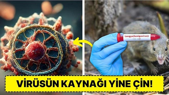 Tıp Dünyası Hayvandan İnsana Bulaşan Virüsün Yeni Bir Salgına Yol Açmaması İçin Hazırlıklara Başladı!