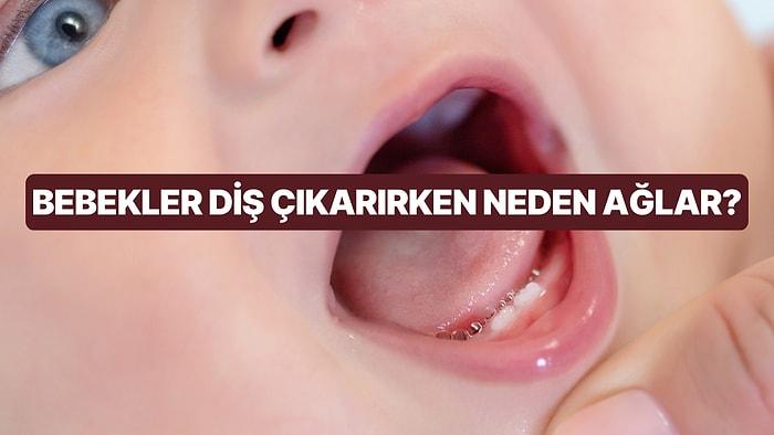 Bebekler Diş Çıkartma Sürecinde Neden Ağlar? Bebeklerde Diş Çıkarmaya Ne İyi Gelir?
