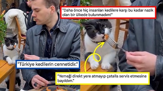 Yemeğine Ortak Olmaya Çalışan Dünyalar Tatlısı Kedinin Videosunu Paylaşan Kullanıcı Herkese Tebessüm Ettirdi