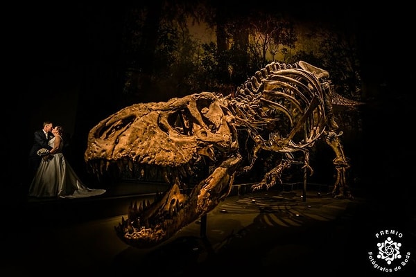 9. «Ты в безопасности со мной, дорогая ... ну, я так думаю!», фото Марникса де Стигтера