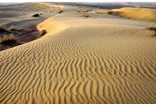 5. Türkmenistan içinde bulunan Karakum Çölü, dünyanın en kurak alanlarından bir tanesidir.