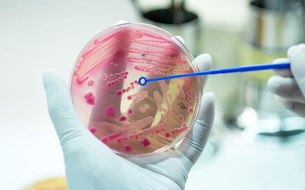 Как распространяется менингит