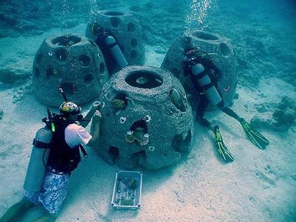 10. Eternel Reefs adlı bir şirket, insanların ölü bedenlerini mercan ve resiflere dönüştürüyor! Aileler için bir tür mezar görevi görmesi ve aynı zamanda okyanus hayatını canlı tutması amaçlanmış.